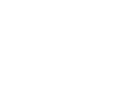 Evolution games at Chesscoin Casino